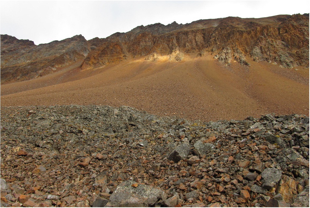 SNOWLINE GOLD LOCATES 5.1 KM LONG TREND OF ANOMALOUS GOLD-IN-SOILS GRADING TO 1.7 G/T AU AT GRACIE, ROGUE PROJECT, YUKON